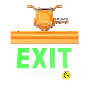 Explosion Proof LED Light Emergency signal light Maintained type with junction