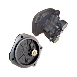 6501106210 HOWO 0440020115 BOSCH Gear Pump Fuel Pre Supply