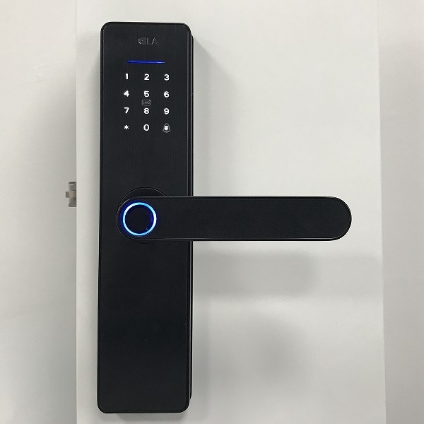 Aluminum alloy Biometric Smart Lock With Fingerprint Sensor