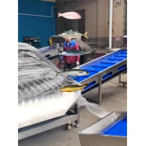 Four Models Automatic Fish Sizing Machine And Soring Yellow Croaker High Stable