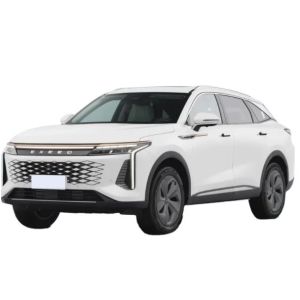 R16 Tires 2024 EXEED Rx PHEV Yaoguang STELLAR