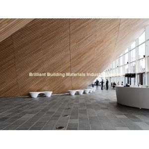 Alta Quartzite Tiles for Flooring