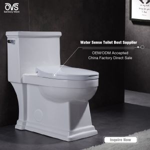 1.28gpf 4.8lpf Dual Flush single piece toilet bidet