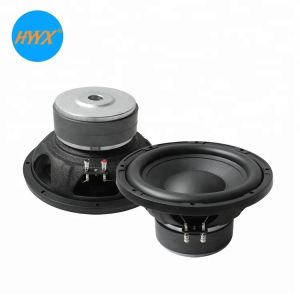 Ferrite Magent 300W 4Ohm 1.5kHz 10 Inch Car Subwoofer