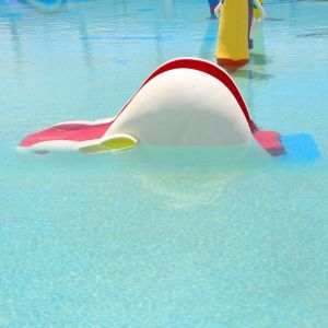 Spray Small Water Slide for Swimming Pool Park