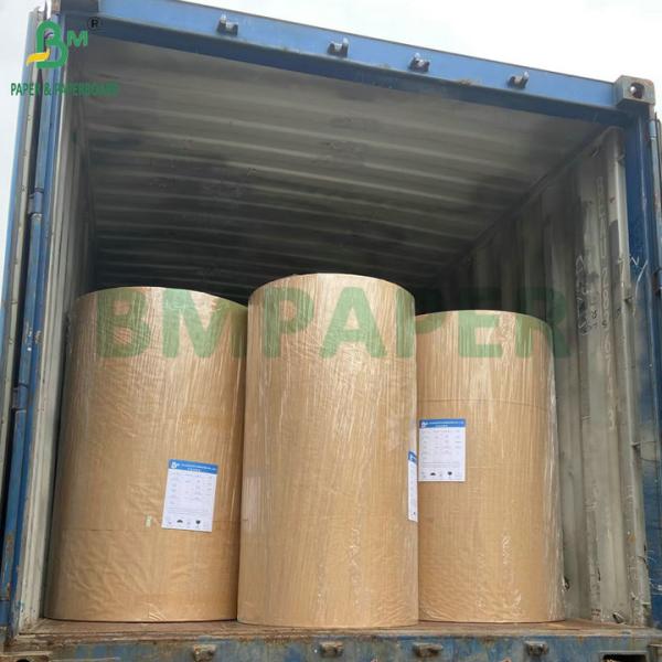 PE Coated Paperboard 260gsm + 15gsm PE For Making Fried Chicken Containers 