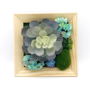 Wooden frame for holding photo picture plant