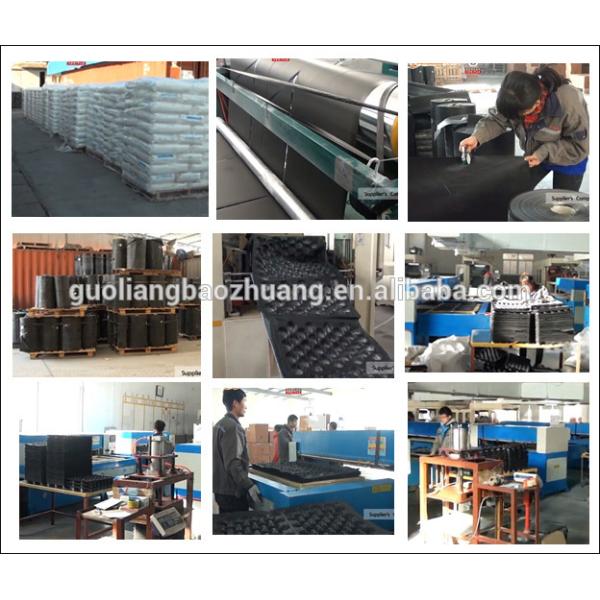 15LB 30g 0.11mm Thickness Tomato Protective Packing Plastic Trays for Fresh Fruit and Vegetable Best Selling Canada and Mexico