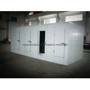 Customized Request Air Cooled Fresh Keeping Cold Room Chiller for Fruit