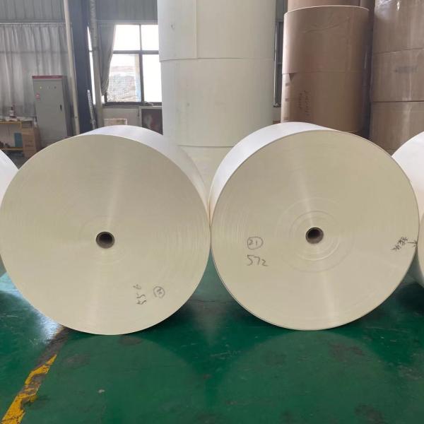 Buy PE Laminated Cup Stock Paper Max 1200mm Coated Paper Roll at wholesale prices