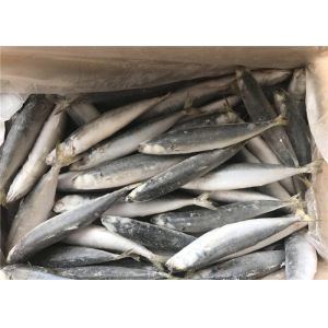 Healthy Gutted Shape 60g 80g Frozen Sea Fishing Bait