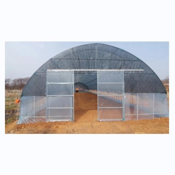 Buy High Tunnel Film Covered Tomato Greenhouse with Shade Net Single Layer 10-100m Length at wholesale prices