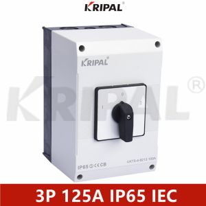 125A 3P 230-440V Waterproof Changeover Cam Switch IEC standard