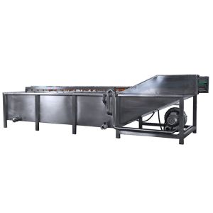 500kg/h industrial fruit washing machine