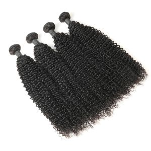 Authentic Real Curly Human Hair Weave Bundles Without Chemical Processed