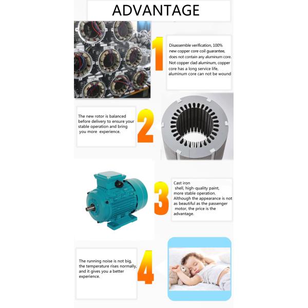 ms three phase electric motor