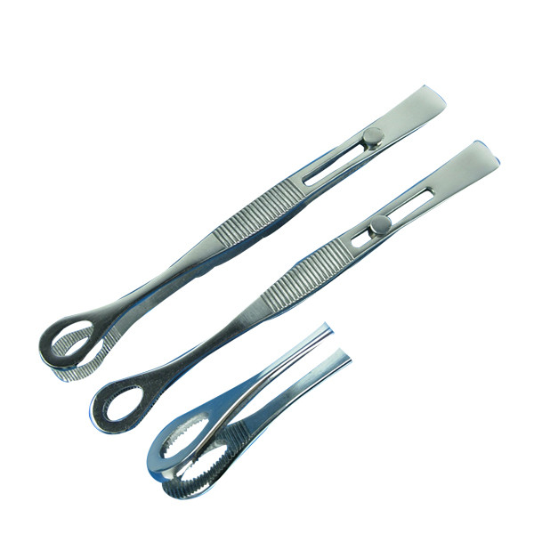 Buy Stainless Steel Sponge Forceps at wholesale prices