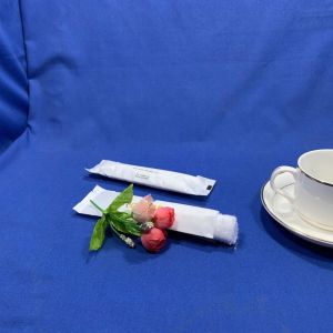 Antibacterial Sterilization Airline Wet Towel