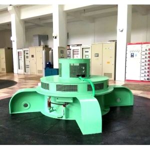 Small Kaplan Turbine Generator Customized 500kw 1000kw