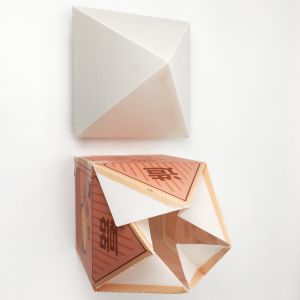 Custom Shape HD Printing Corrugated Plastic Carton Pineapple Box