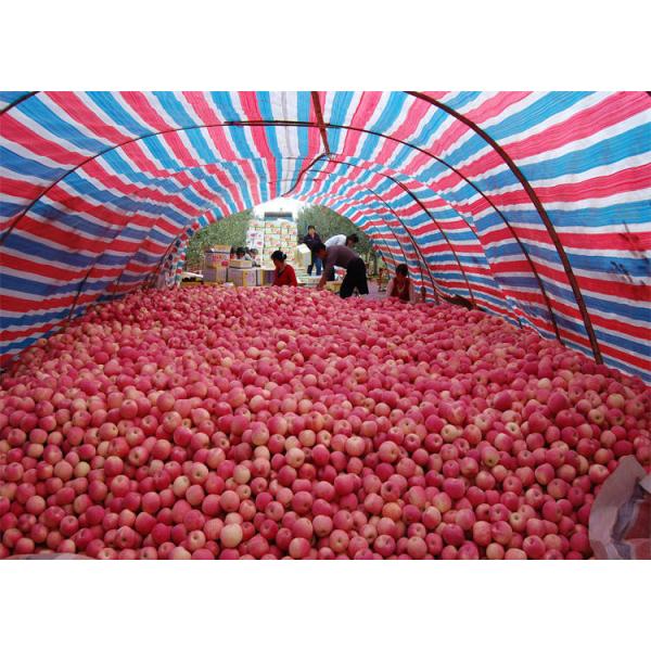 Crop Agriculture Enhanced Efficiency Fertilizers Water Insoluble