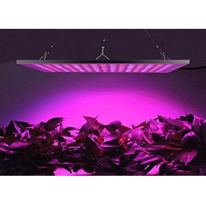 Lightweight Energy Efficient Grow Lights Led Flowering Grow Lights 3 Years