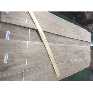 American Black Walnut Wood Veneer