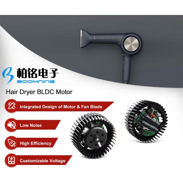 Buy High Effiiciency Brushless DC Hair Dryer Motor at wholesale prices