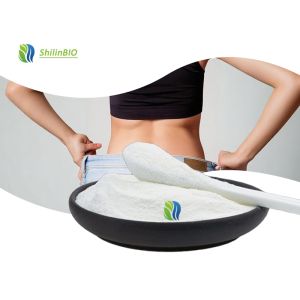 L Carnitine Base Powder