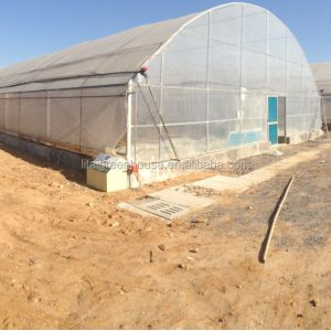 Stable Structure Agricultural and Commercial Tunnel Greenhouse