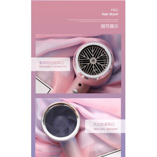 Blue Light Ion Hair Dryer with High Power and 3 Speed Settings Salon Results at Home