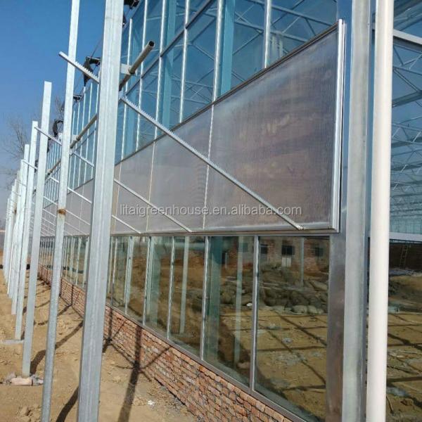 Green Agricultural Glass Greenhouse with 5mm Covering Span Width 9.6m 10.8m 12m