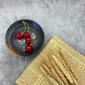 Japanese Restaurant Udon Melamine Black Bowl Unbreakable Galaxy Pattern