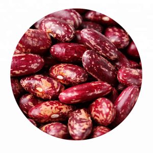 Factory Quality Supplier Low Price Red Kidney Beans Sorting Machine Hot in