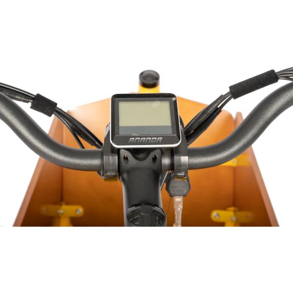 High Capacity Ebike Electric Bike with Rainproof Front Wooden Box and 36V 13Ah Battery