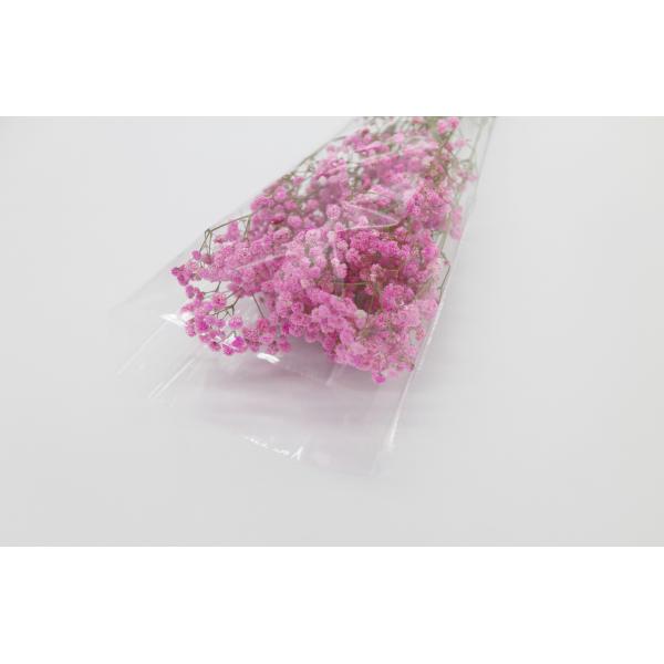 Buy Fresh Flower Salad OPP Packaging Bag Biodegradable Printed Self Adhesive at wholesale prices