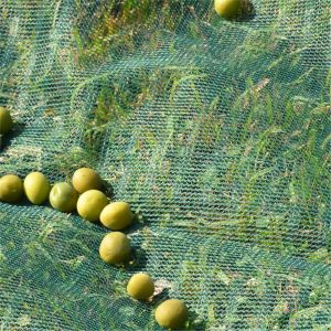 HDPE Agriculture Olive Net harvest net with high quality