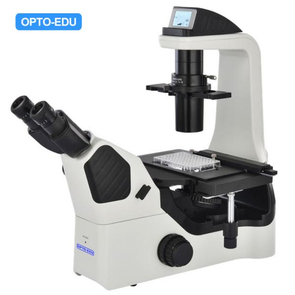 Buy OPTO EDU A14.1064 Inclined Phase Contrast Fluorescence Microscope at wholesale prices