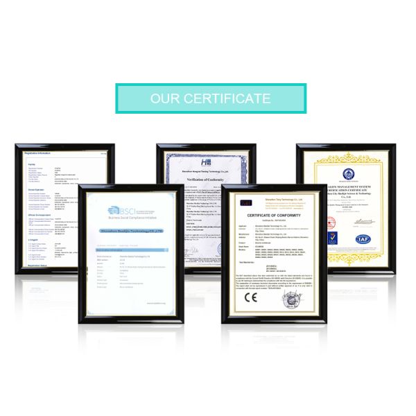 Baolijie SN-P1 Customized Logo Rechargeable Electric Toothbrush with 60 Days Runtime 33600RPM and 1 Year Warranty