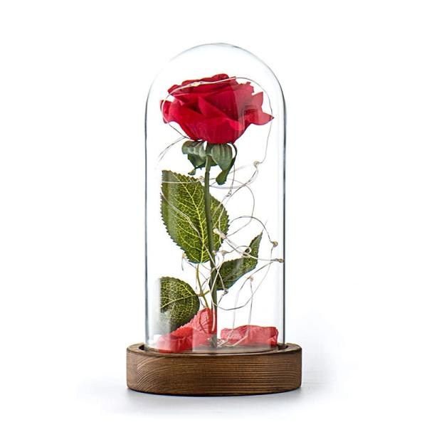 Buy MDF Wood Base Borosilicate D12xH20cm Glass Dome Cloche at wholesale prices
