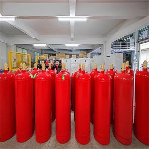 FM200 Gas Fire Extinguishing Cylinder For High-value Properties