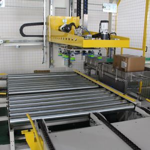 LeadWorld Automatic Stacking Packing Line Servo Driven Palletizer