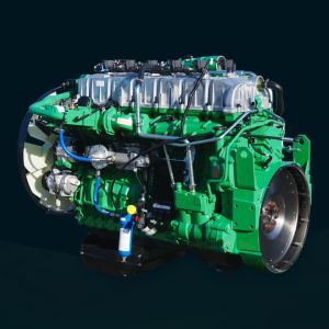 Water Cooled Method 200kw 250kw 3 Phase Gas Generator Set for Natural Gas Biogas