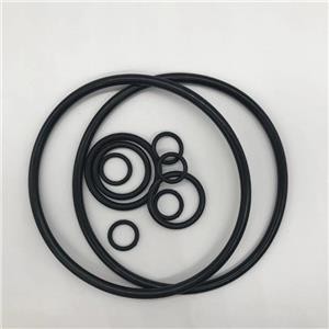 High Performance Custom Rubber O Ring Seal For Severe Conditions