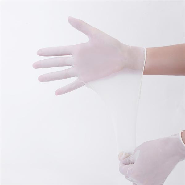 12'' Medical Latex Examination Glove Sterile Surgical Protection Products