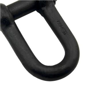 Customized Sized Acceptable Suspension Chains D Shackle Rigging