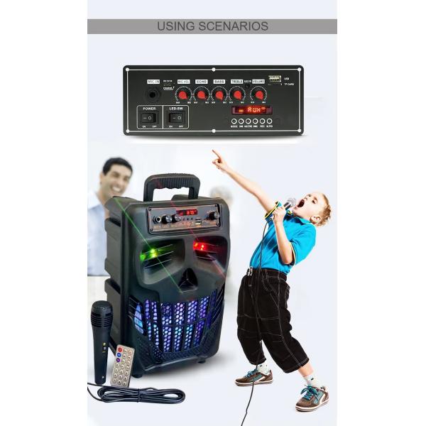 Voice Recorder Function 2x20W 7.4V Wireless Wired Microphone Trolley Speaker Sound Bt Decoder Amplifier Board