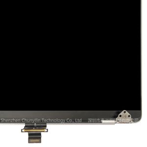 MacBook Pro 16" LCD Display Assembly - A2780 2023 M2, EMC8103 Silver