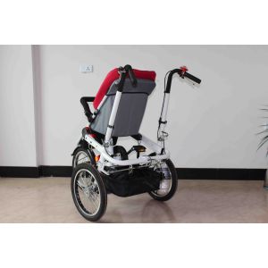 GTZ German Technical baby stroller bike