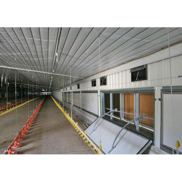 Galvanized Poultry Light Steel Frame Construction Bolts Connection Steel Chicken House